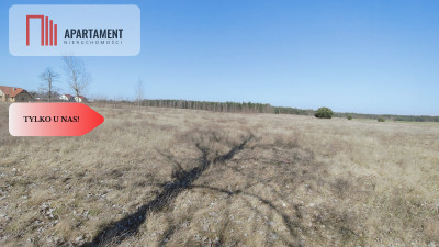 Zmiana Ceny  działka budowlana z widokiem na las - powiat chodzieski  -
Wielkopolskie Zdjęcie nr 6