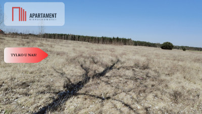 Zmiana Ceny  działka budowlana z widokiem na las - powiat chodzieski  -
Wielkopolskie Zdjęcie nr 7