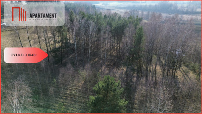 Tylko u nas Zalesiona działka budowlana w Borach - powiat świecki  - Kujawsko-Pomorskie