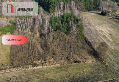 Tylko u nasZalesiona działka w Borach Tucholskich - powiat świecki  -
Kujawsko-Pomorskie Zdjęcie nr 3