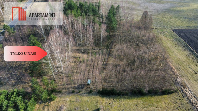 Tylko u nasZalesiona działka w Borach Tucholskich - powiat świecki  -
Kujawsko-Pomorskie Zdjęcie nr 4