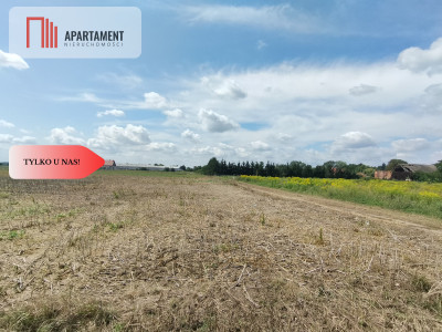 Pozostały już dwie działki z Mpzp1332m2 i 1335m2 - powiat średzki  -
Dolnośląskie Zdjęcie nr 8