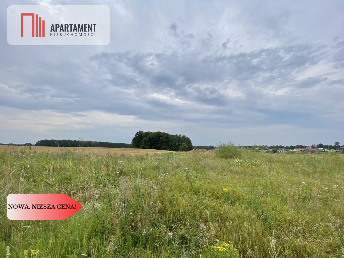 działki pod Starogardem Gdańskim - powiat starogardzki  -
Pomorskie Zdjęcie nr 1