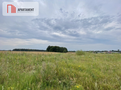 działki pod Starogardem Gdańskim - powiat starogardzki  -
Pomorskie Zdjęcie nr 10