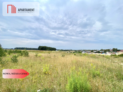 działki pod Starogardem Gdańskim - powiat starogardzki  -
Pomorskie Zdjęcie nr 2