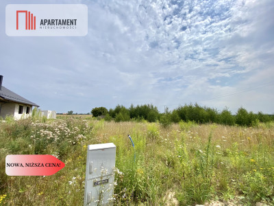 działki pod Starogardem Gdańskim - powiat starogardzki  -
Pomorskie Zdjęcie nr 3