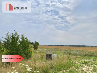 działki pod Starogardem Gdańskim - powiat starogardzki  -
Pomorskie Zdjęcie nr 6