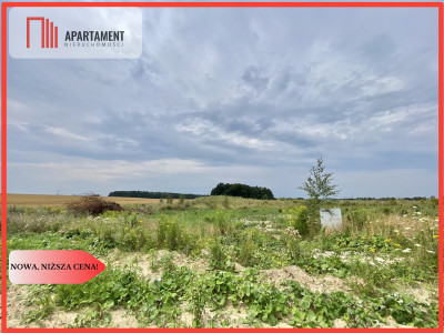działki pod Starogardem Gdańskim - powiat starogardzki  -
Pomorskie Zdjęcie nr 7