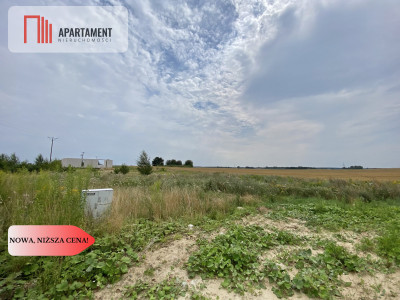 działki pod Starogardem Gdańskim - powiat starogardzki  -
Pomorskie Zdjęcie nr 9