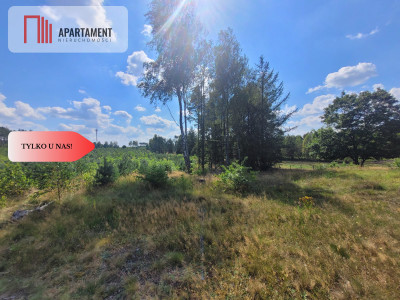 działka leśno rolna - powiat bytowski  -
Pomorskie Zdjęcie nr 5