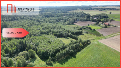 działka wśród drzew - powiat gdański  -
Pomorskie