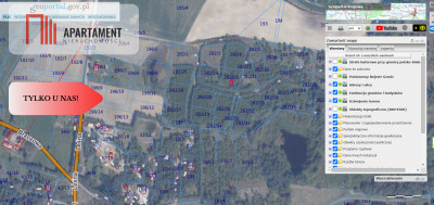 działka wśród drzew - powiat gdański  -
Pomorskie Zdjęcie nr 4