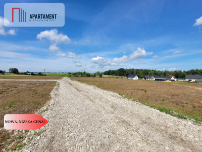 działki w Rokocinie - powiat starogardzki  -
Pomorskie Zdjęcie nr 10