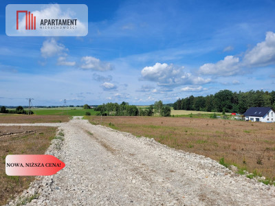 działki w Rokocinie - powiat starogardzki  -
Pomorskie Zdjęcie nr 4