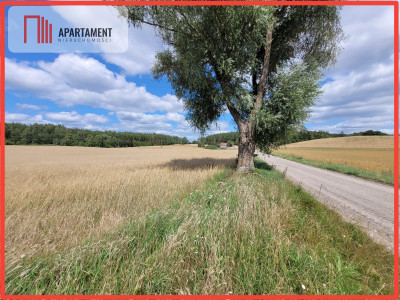 3000 m2 Skorzewo - powiat kościerski  -
Pomorskie