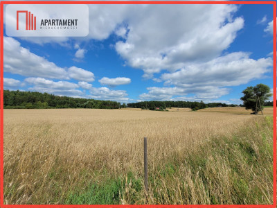 3000 m2 Skorzewo - powiat kościerski  -
Pomorskie Zdjęcie nr 2