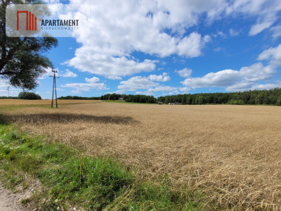 3000 m2 Skorzewo - powiat kościerski  -
Pomorskie Zdjęcie nr 3