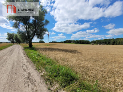 3000 m2 Skorzewo - powiat kościerski  -
Pomorskie Zdjęcie nr 4