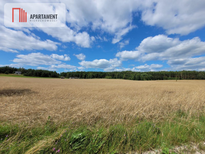 3000 m2 Skorzewo - powiat kościerski  -
Pomorskie Zdjęcie nr 6