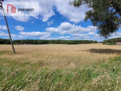 3000 m2 Skorzewo - powiat kościerski  -
Pomorskie Zdjęcie nr 7