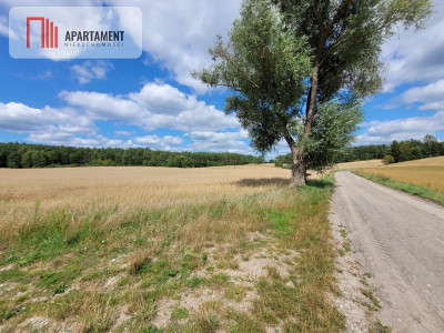 3000 m2 Skorzewo - powiat kościerski  -
Pomorskie Zdjęcie nr 8