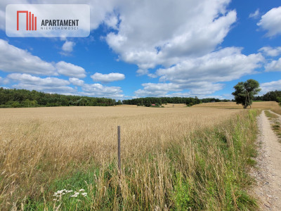 3000 m2 Skorzewo - powiat kościerski  -
Pomorskie Zdjęcie nr 9