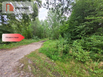 działka pod zabudowę - powiat tczewski  -
Pomorskie Zdjęcie nr 8