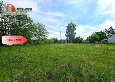 Działka W Zabudowy Parpary - powiat sztumski  -
Pomorskie Zdjęcie nr 2