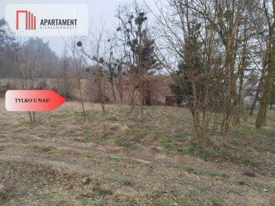Działka W Zabudowy Parpary - powiat sztumski  -
Pomorskie Zdjęcie nr 4