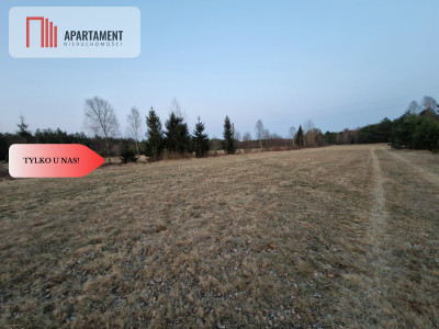 Spokojna okolica blisko lasu - powiat chojnicki  -
Pomorskie Zdjęcie nr 4