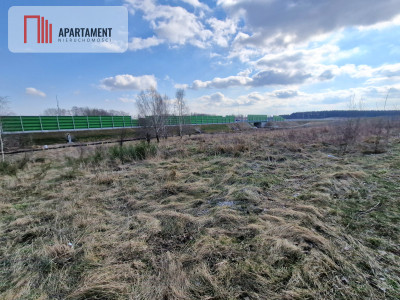 Spokojna okolica - powiat kartuski  -
Pomorskie Zdjęcie nr 3