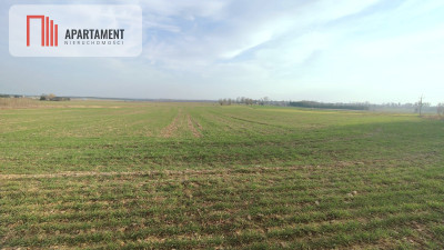 Obniżka CENY Działka rolna w dobrej LOKALIZACJI - powiat pilski  -
Wielkopolskie Zdjęcie nr 2
