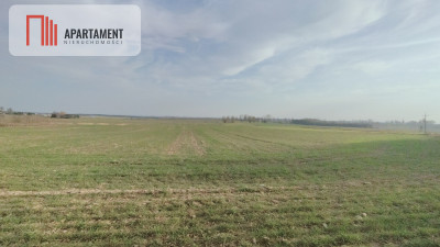 Obniżka CENY Działka rolna w dobrej LOKALIZACJI - powiat pilski  -
Wielkopolskie Zdjęcie nr 3