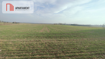 Obniżka CENY Działka rolna w dobrej LOKALIZACJI - powiat pilski  -
Wielkopolskie Zdjęcie nr 4