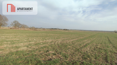Obniżka CENY Działka rolna w dobrej LOKALIZACJI - powiat pilski  -
Wielkopolskie Zdjęcie nr 6