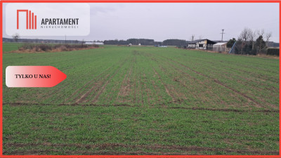 Działka Boruszyn - powiat czarnkowsko-trzcianecki  - Wielkopolskie