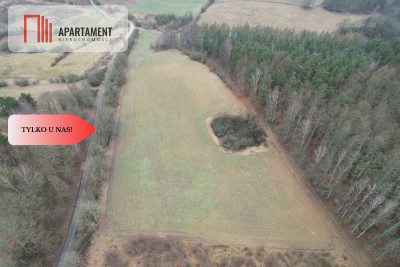 Duża działka z widokiem na Miastko z WZ - powiat bytowski  -
Pomorskie Zdjęcie nr 13