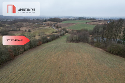Duża działka z widokiem na Miastko z WZ - powiat bytowski  -
Pomorskie Zdjęcie nr 4