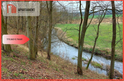 Obniżka ceny Działka budowlana z WZ - powiat złotowski  -
Wielkopolskie Zdjęcie nr 4