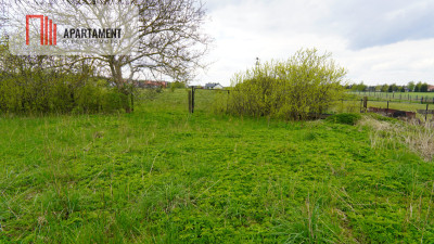 Duża działka do podziału lub inwestycji - powiat chojnicki  -
Pomorskie Zdjęcie nr 6