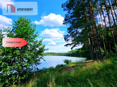 Piękna działka leśna z linią brzegową jeziora - powiat tucholski  -
Kujawsko-Pomorskie Zdjęcie nr 2