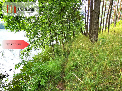 Piękna działka leśna z linią brzegową jeziora - powiat tucholski  -
Kujawsko-Pomorskie Zdjęcie nr 4