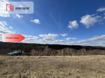 Siedlisko z WZ blisko trójmiasta - powiat starogardzki  -
Pomorskie Zdjęcie nr 8