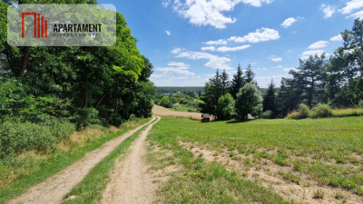 Duża działka nad jeziorem Ostrówieckim - powiat żniński  -
Kujawsko-Pomorskie Zdjęcie nr 2
