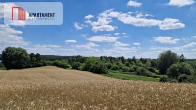 Duża działka nad jeziorem Ostrówieckim - powiat żniński  -
Kujawsko-Pomorskie Zdjęcie nr 3