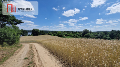 Duża działka nad jeziorem Ostrówieckim - powiat żniński  -
Kujawsko-Pomorskie Zdjęcie nr 4