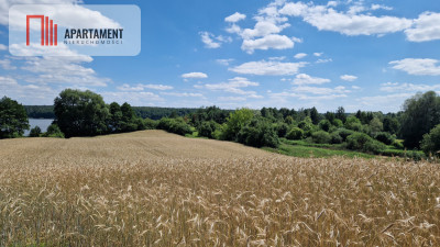 Duża działka nad jeziorem Ostrówieckim - powiat żniński  -
Kujawsko-Pomorskie Zdjęcie nr 5