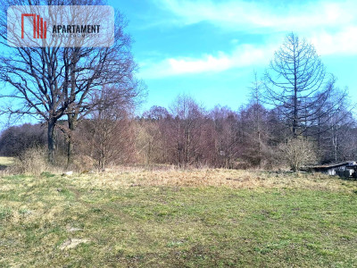 Urokliwa działka z linią brzegową rzeki Prusiny - powiat starogardzki  -
Pomorskie Zdjęcie nr 4
