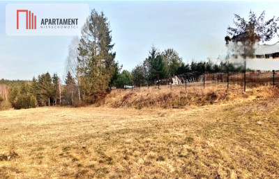 Działka nad jeziorem - powiat kościerski  -
Pomorskie Zdjęcie nr 9
