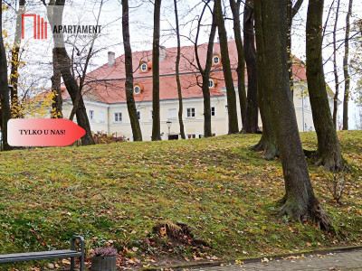 Duża działka budowlana - powiat wołowski  -
Dolnośląskie Zdjęcie nr 6